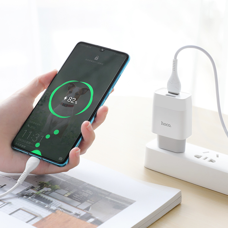 Caricabatterie Hoco Dual USB con spina EU/US/UK, 2.4A